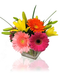 Bright & Stunning from Clifford's where roses are our specialty